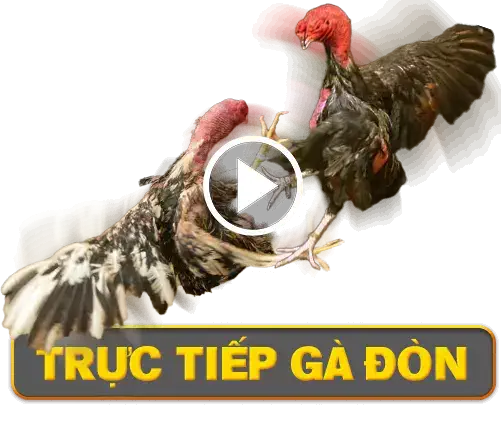 tructiep gadon