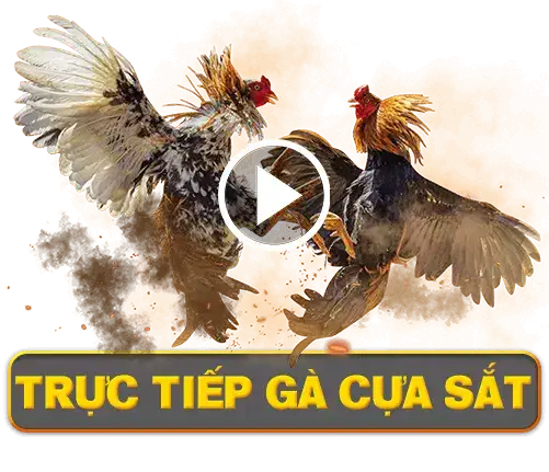 tructiepgacuasat